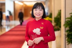 Nghiên cứu một luật để sửa nhiều luật