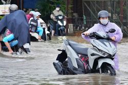 Cà Mau: Mưa lớn kết hợp triều cường gây ngập sâu, bộ đội hỗ trợ người dân di chuyển