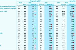 ADB nâng dự báo tăng trưởng kinh tế Việt Nam lên 7,8%