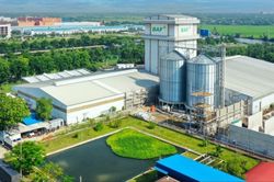 BAF phát hành 8 triệu cổ phiếu ESOP