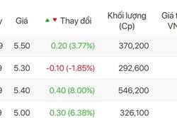 UBCKNN xử phạt vi phạm hành chính Công ty cổ phần Chứng khoán EVS