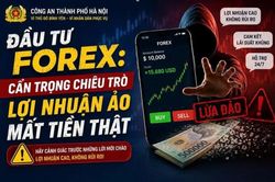 Cảnh giác bẫy đầu tư Forex trên các sàn giao dịch ảo