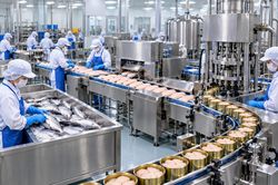 Xuất khẩu thủy sản vào chặng khó: Giữ đơn hàng nhưng phải giữ cả lợi nhuận