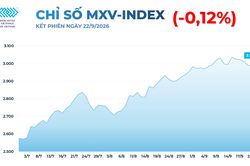 Thị trường hàng hóa: MXV-Index xa dần vùng 3.000 điểm