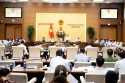 Tăng mức xử phạt vi phạm hành chính để nâng cao tính phòng ngừa, răn đe