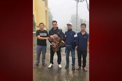 Bắt giữ đối tượng truy nã nguy hiểm