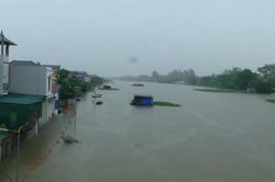Nghiên cứu xây dựng hồ chứa lớn để hạn chế lũ rừng ngang