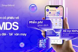 Chứng khoán SmartMind thay máu loạt nhân sự cấp cao, chốt chia cổ tức tiền mặt hơn 800 tỷ đồng