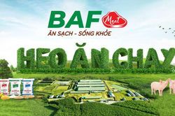 BAF Việt Nam (BAF) phát hành ESOP giá rẻ cho 242 nhân viên, nửa đầu năm mới hoàn thành 39% kế hoạch lãi