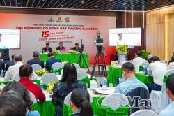 Kiện toàn quản trị, mở rộng lĩnh vực, hướng đến phát triển bền vững