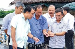 Phú Mỹ và Phú Tân đẩy mạnh chuyển đổi nuôi thuỷ sản công nghệ cao