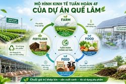 Quảng Trị hợp tác với Tập đoàn Quế Lâm phát triển các mô hình nông nghiệp hữu cơ, tuần hoàn