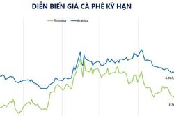 Thị trường hàng hóa giằng co, giá cà phê chạm đáy 3 tháng