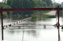 Dự án cầu nối 2 xã Hà Nội 'đắp chiếu' do không có mặt bằng thi công