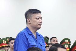 Xét xử 29 bị cáo trong đường dây sản xuất sữa giả