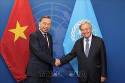Tổng Bí thư, Chủ tịch nước Tô Lâm gặp Tổng Thư ký Liên Hợp Quốc António Guterres