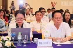 Khánh Hòa tập huấn kỹ năng tuyên truyền Năm APEC Việt Nam 2027