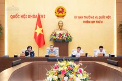 Thúc đẩy thương mại hóa quyền sở hữu trí tuệ