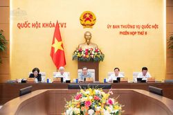 Sửa Luật An toàn thực phẩm: Làm rõ đầu mối, phân định trách nhiệm, quản lý theo nguy cơ