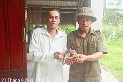 Bàn giao 1 cá thể rùa!