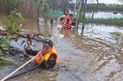 Đồng Nai: Huy động bộ đội, công an giúp người dân vùng ngập