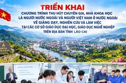 Lào Cai tăng cường thu hút chuyên gia, nhà khoa học phục vụ phát triển nguồn nhân lực