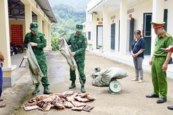 Kỳ 2: Chủ động nhận diện, phối hợp liên ngành trong xử lý hành vi vi phạm