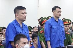 Hai lãnh đạo công ty sữa: Thay đổi công thức để giảm chi phí, tăng lợi nhuận