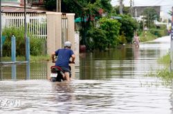 Nhiều hộ dân và đường giao thông tại Lâm Đồng bị ngập sâu trong nước