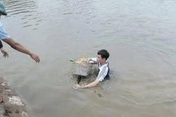 Nam sinh lớp 11 dũng cảm cứu hai em nhỏ rơi xuống sông