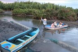Du lịch rừng dừa nước Tịnh Khê 'thấp thỏm' theo thủy triều