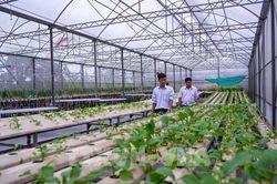 Nghị quyết 57-NQ/TW thúc đẩy doanh nghiệp đổi mới công nghệ