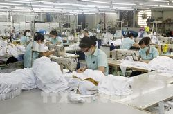 Nhiều giải pháp xử lý tình trạng nợ đọng bảo hiểm xã hội, bảo hiểm y tế