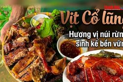Vịt Cổ Lũng – Hương vị núi rừng, sinh kế bền vững