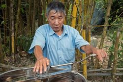 FAO chọn mật ong Việt Nam vào chương trình 'Mỗi quốc gia một sản phẩm ưu tiên'