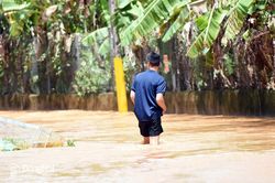 Nước sông Buông dâng cao, khu dân cư tại phường Phước Tân tiếp tục bị ngập