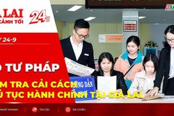 To&agrave;n cảnh Gia Lai 24h: Bộ Tư ph&aacute;p kiểm tra cải c&aacute;ch thủ tục h&agrave;nh ch&iacute;nh tại Gia Lai