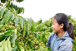 'Trụ cột' tam nông ở biên giới đất liền Lâm Ðồng