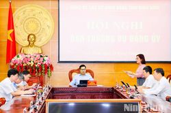 Ban Thường vụ Đảng ủy các cơ quan Đảng tỉnh thảo luận, cho ý kiến vào một số nội dung thuộc thẩm quyền