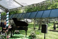 Biểu diễn piano dành tặng những cá thể gấu được giải cứu tại Vườn Quốc gia Tam Đảo