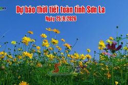 Dự báo thời tiết toàn tỉnh Sơn La ngày 25/9/2026