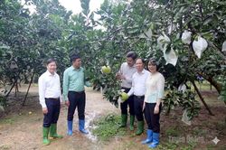 Đặt hàng nhiệm vụ khoa học, công nghệ