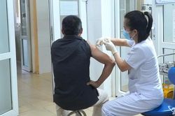 Miễn phí tiêm phòng dại cho người nghèo và nhóm nguy cơ cao