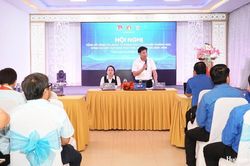 Xây dựng tổ chức Đội thích ứng với mạng lưới trường, lớp mới