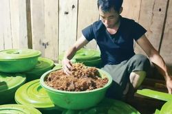 Anh Triệu Văn Long tăng thu nhập từ nuôi đuông dừa