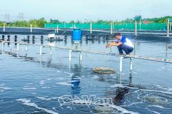 Nông nghiệp, thuỷ sản giữ đà tăng trưởng