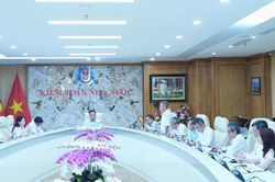 Luật hóa kiểm toán trong môi trường số: Từ quyền tiếp cận đến khả năng thực thi