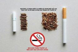 Thuốc lá gây gánh nặng hàng nghìn tỷ đồng lên quỹ bảo hiểm y tế