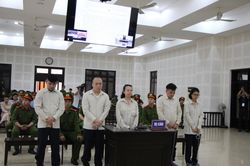 Lừa đảo hơn 7.100 người, vợ chồng TGĐ GFDI lĩnh án chung thân