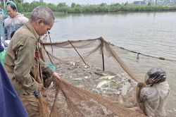 Tập trung thu hoạch thủy sản, phòng ngừa thiệt hại do thiên tai gây ra